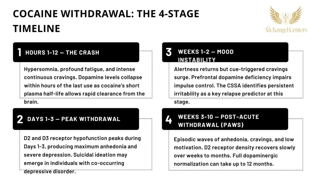Inline graphic for The Archangel Centers article: cocaine/withdrawal-timeline