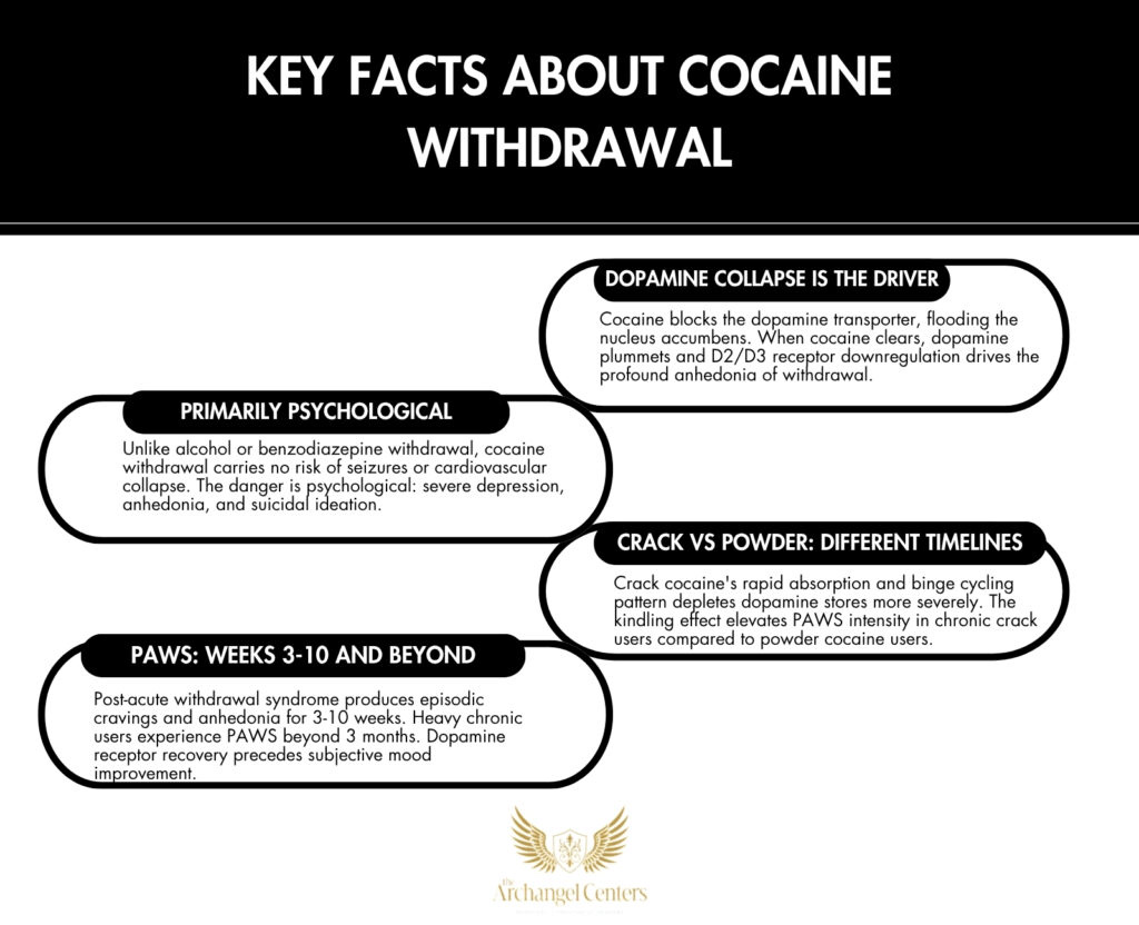 Inline graphic for The Archangel Centers article: cocaine/withdrawal-timeline