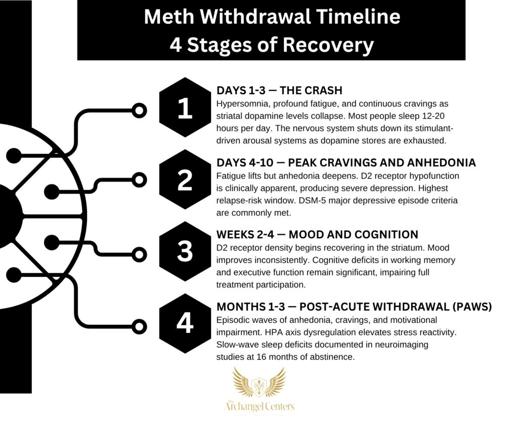 Inline graphic for The Archangel Centers article: meth/withdrawal-timeline