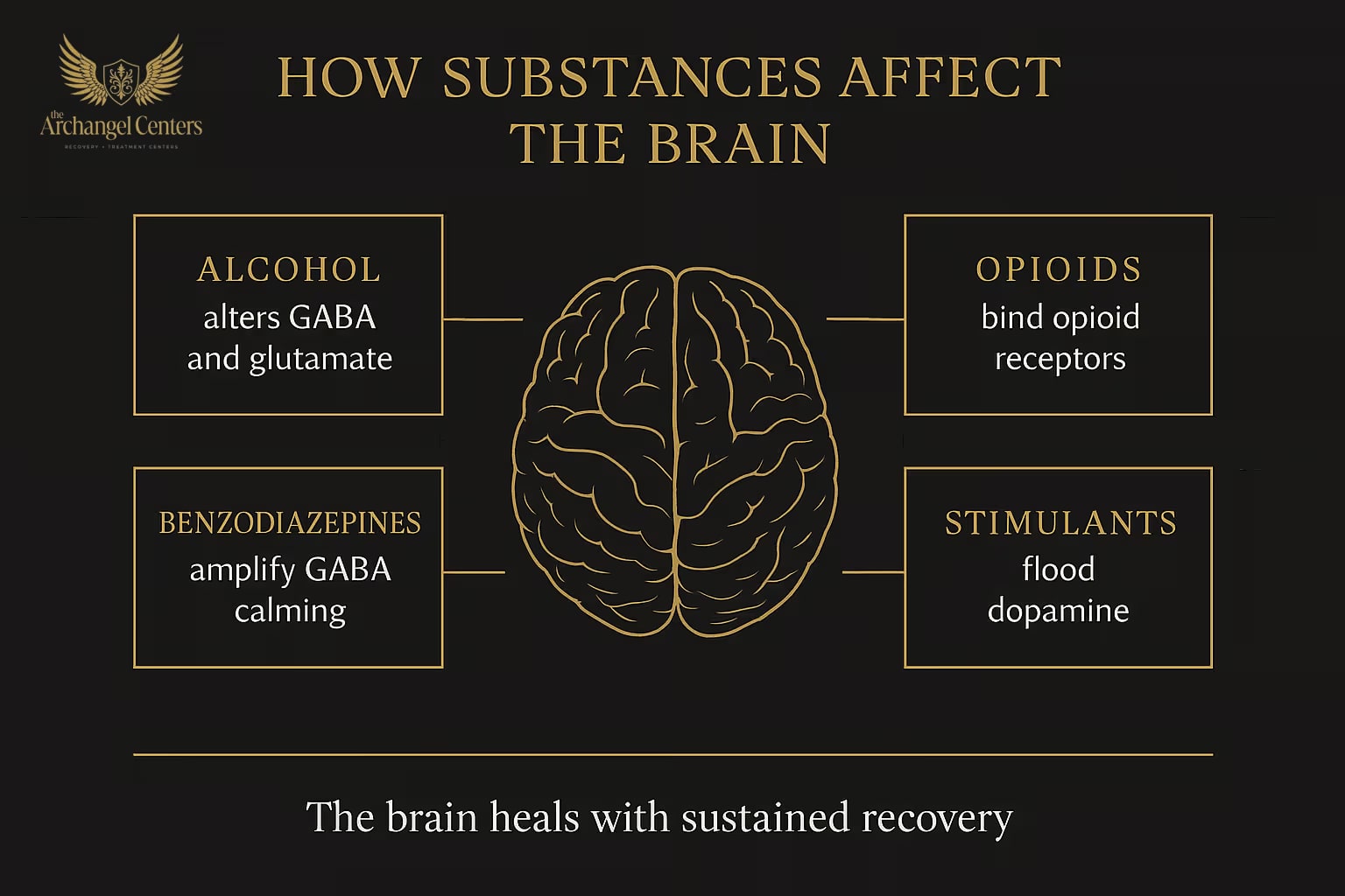 How Substances Affect the Brain: dopamine surges in the reward circuit, receptor downregulation, prefrontal cortex impairment, and the neurobiological basis of compulsive use
