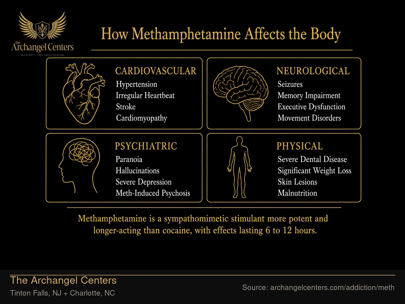 How Methamphetamine Affects the Body.