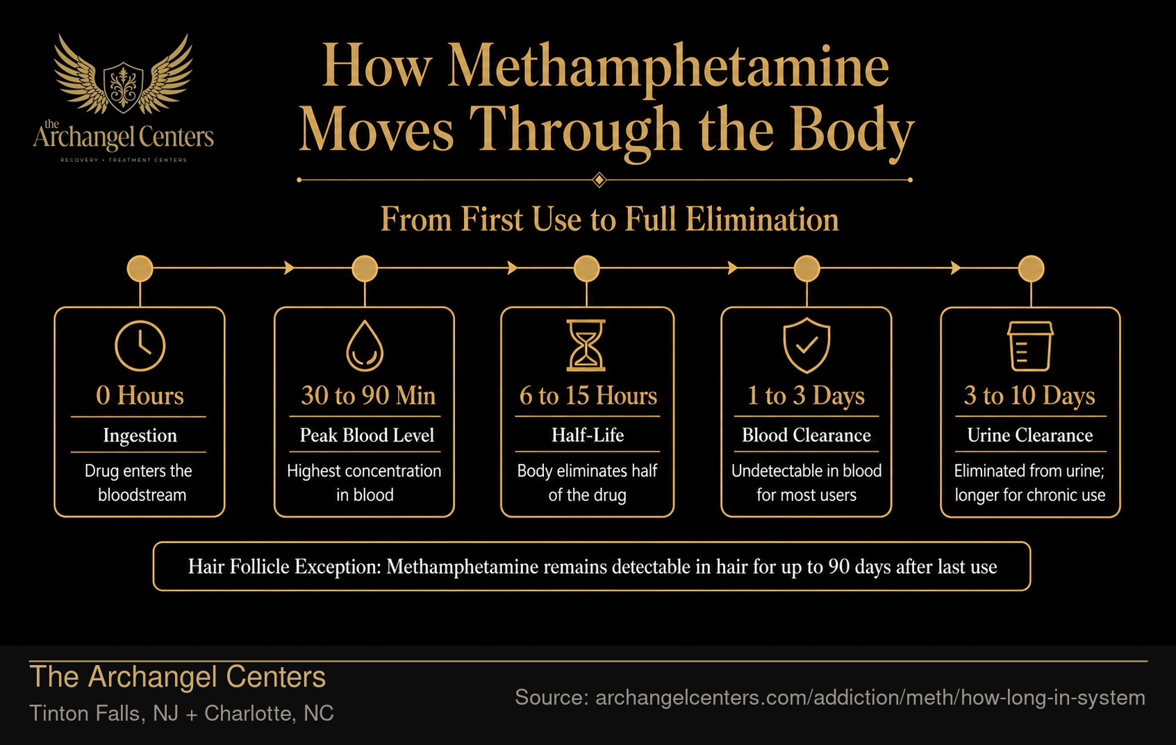 How Methamphetamine Moves Through the Body.