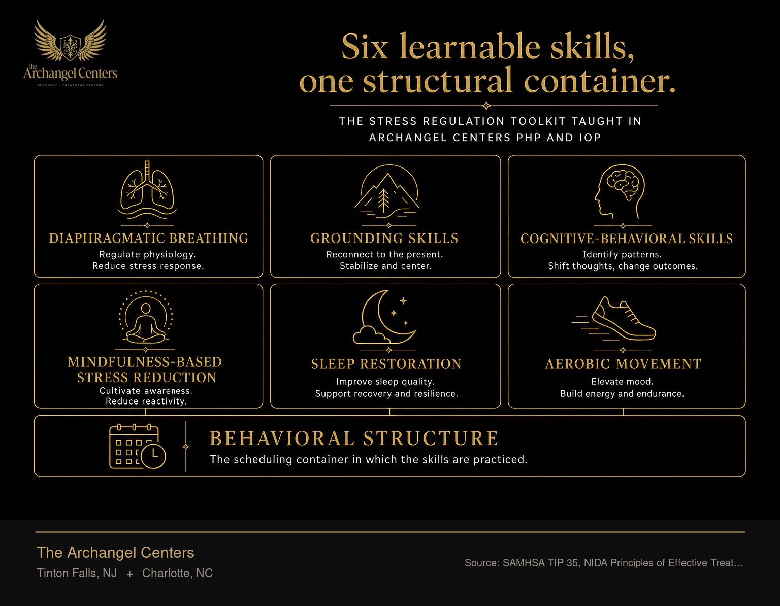 The stress regulation toolkit taught in Archangel Centers PHP and IOP. Six evidence-based interventions arranged as a grid: diaphragmatic breathing, grounding skills, cognitive-behavioral skills, mindfulness-based stress reduction, sleep restoration, and aerobic movement. Behavioral structure runs underneath all six as the scheduling container in which the skills are practiced.
