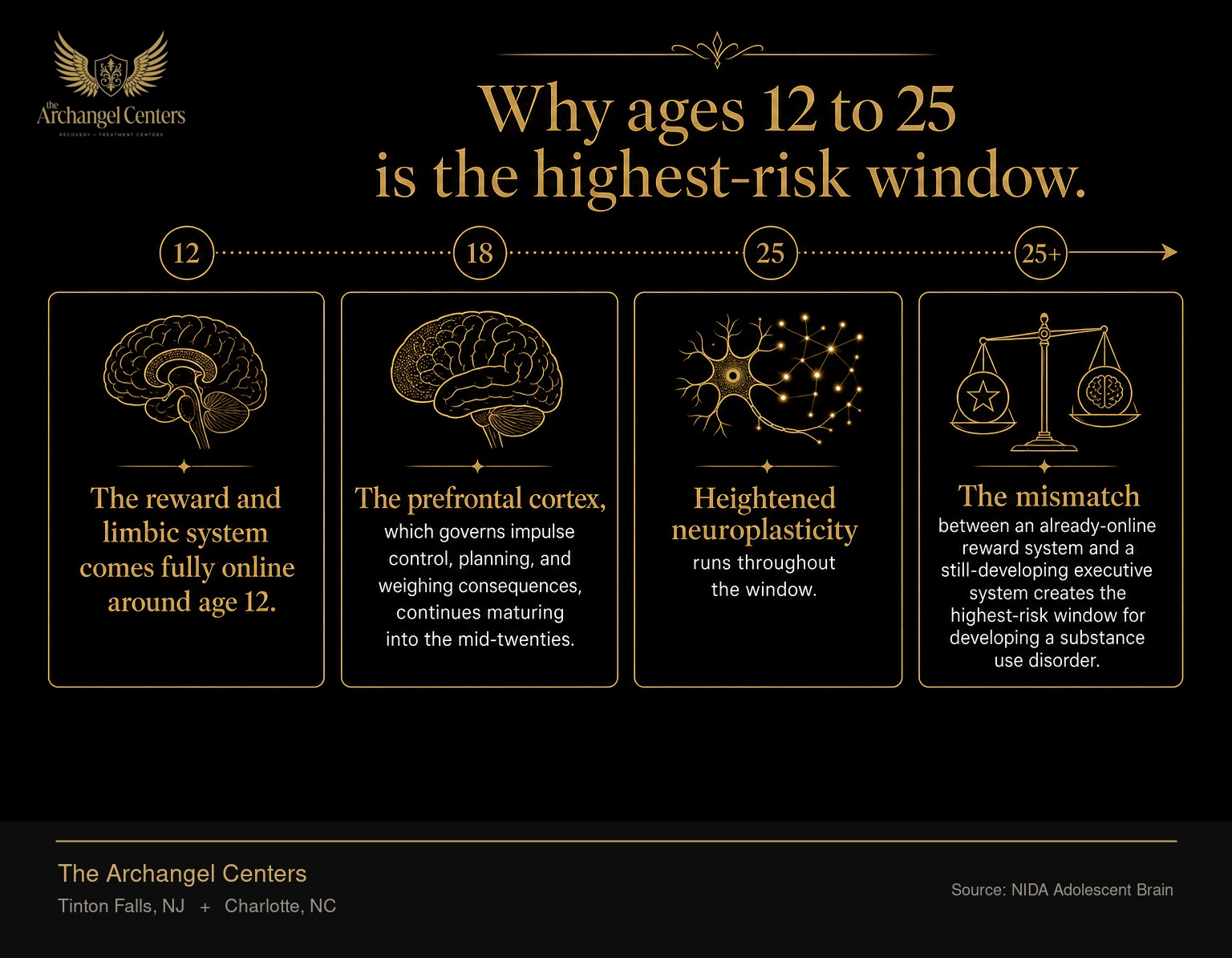Adolescent and young-adult brain development timeline from ages 12 to 25 and beyond. The reward and limbic system comes fully online around age 12. The prefrontal cortex, which governs impulse control, planning, and weighing consequences, continues maturing into the mid-twenties. Heightened neuroplasticity runs throughout the window. The mismatch between an already-online reward system and a still-developing executive system creates the highest-risk window for developing a substance use disorder.