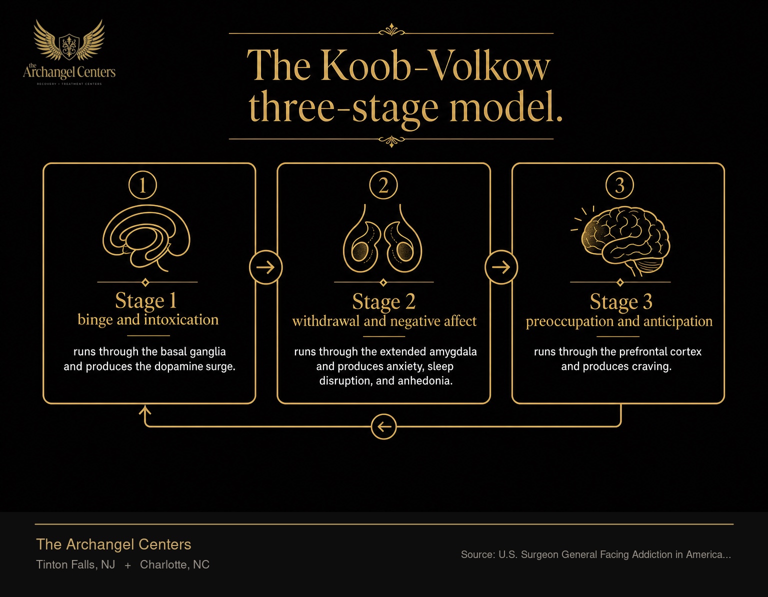 The three-stage cycle of addiction developed by Koob and Volkow and formalized in the U.S. Surgeon General's Facing Addiction in America report. Stage 1 binge and intoxication runs through the basal ganglia and produces the dopamine surge. Stage 2 withdrawal and negative affect runs through the extended amygdala and produces anxiety, sleep disruption, and anhedonia. Stage 3 preoccupation and anticipation runs through the prefrontal cortex and produces craving. The cycle repeats.