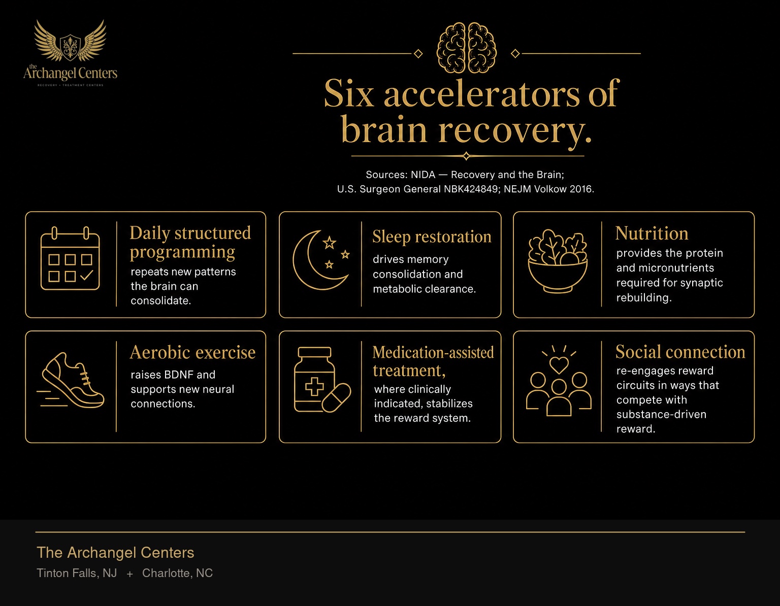 Six evidence-based factors that accelerate brain recovery during sustained sobriety. Daily structured programming repeats new patterns the brain can consolidate. Sleep restoration drives memory consolidation and metabolic clearance. Nutrition provides the protein and micronutrients required for synaptic rebuilding. Aerobic exercise raises BDNF and supports new neural connections. Medication-assisted treatment, where clinically indicated, stabilizes the reward system. Social connection re-engages reward circuits in ways that compete with substance-driven reward.